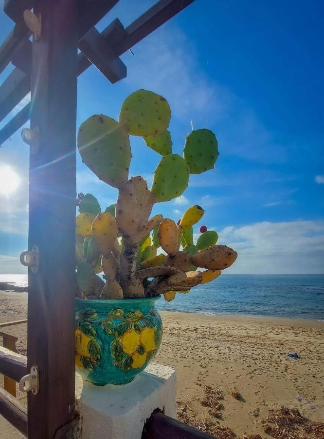 Appartamento La Coffa Agnone Cilento Εξωτερικό φωτογραφία
