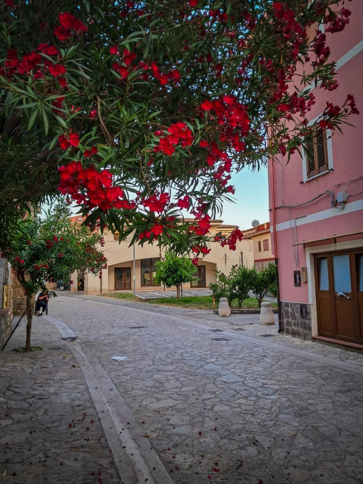 Appartamento La Coffa Agnone Cilento Εξωτερικό φωτογραφία